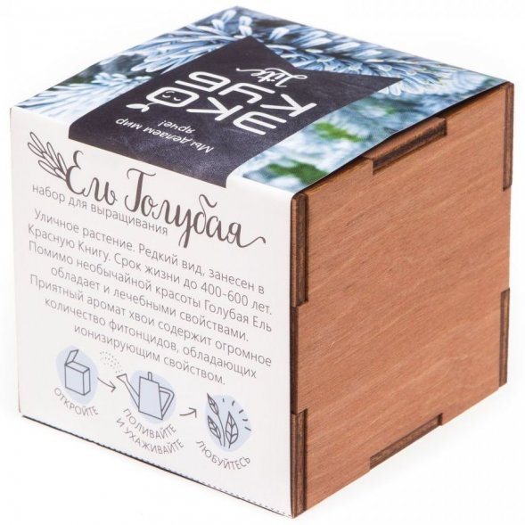Набор для выращивания «Экокуб Lite», ель голубая 