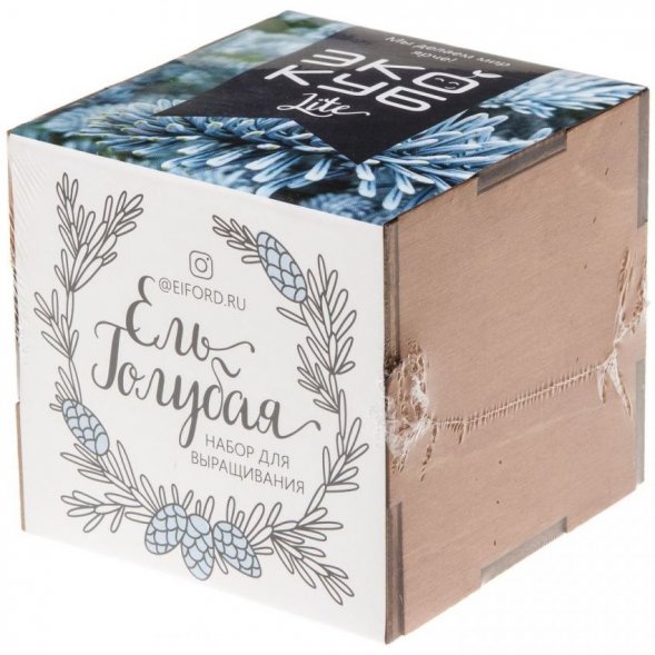 Набор для выращивания «Экокуб Lite», ель голубая 