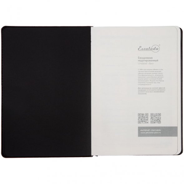 Ежедневник Alanis, недатированный, черный c фиолетовым 