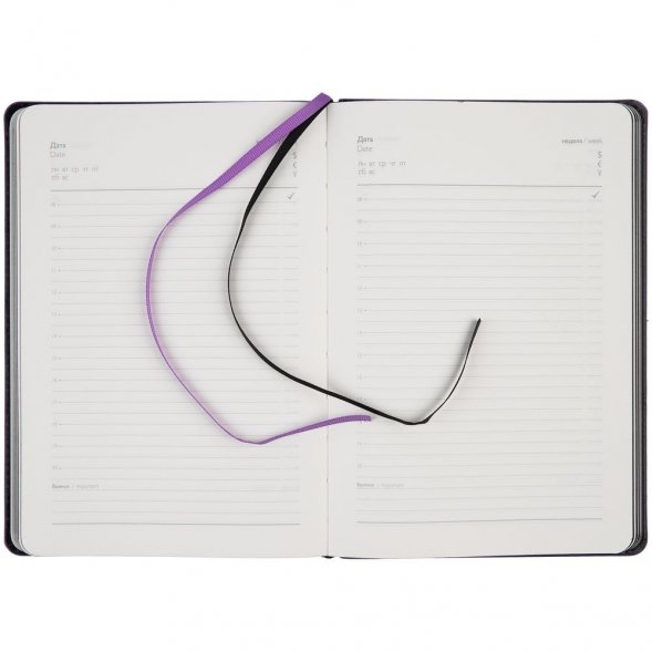 Ежедневник Alanis, недатированный, черный c фиолетовым 