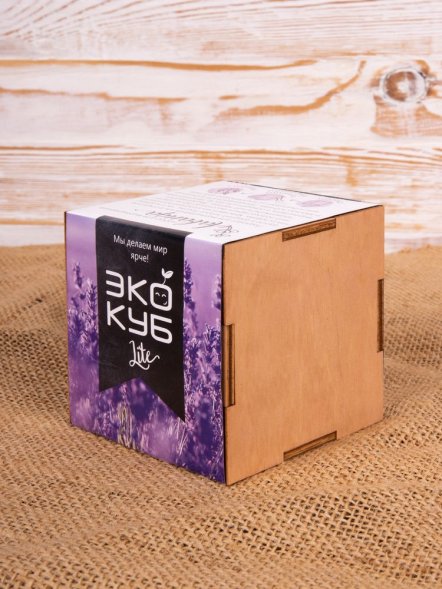 Набор для выращивания «Экокуб Lite», лаванда 