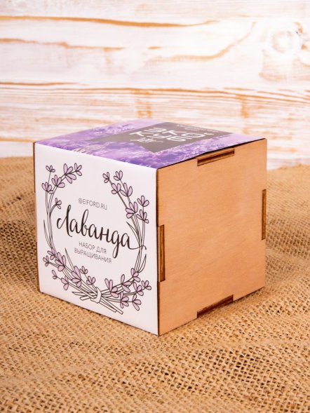 Набор для выращивания «Экокуб Lite», лаванда 