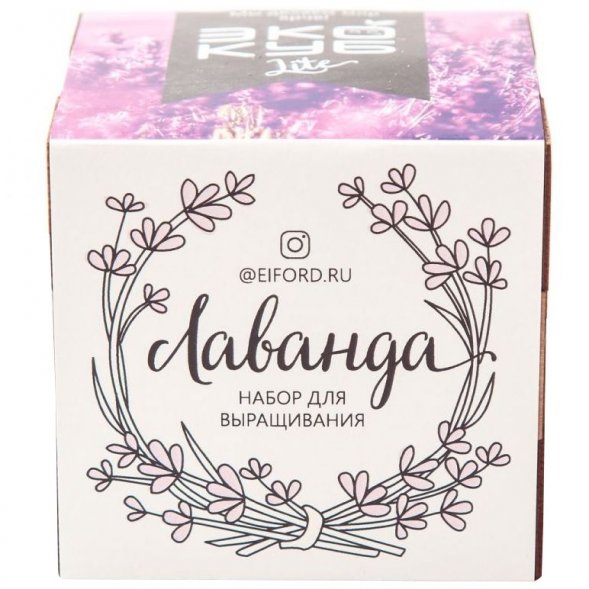 Набор для выращивания «Экокуб Lite», лаванда 