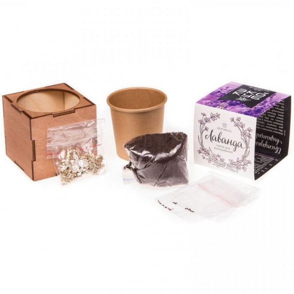 Набор для выращивания «Экокуб Lite», лаванда 