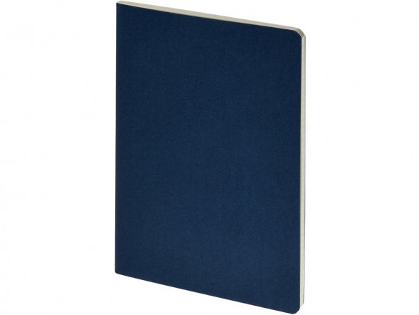 Бизнес тетрадь А5 Pragmatic, 40 листов в клетку, темно-синий 