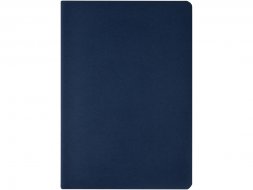 Бизнес тетрадь А5 Pragmatic, 40 листов в клетку, темно-синий