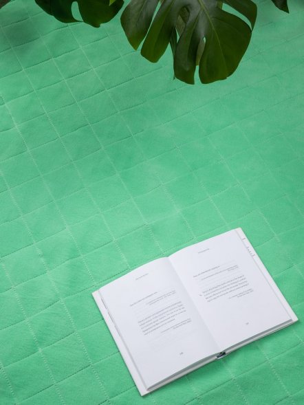 Плед для пикника Soft &amp;amp; Dry 2, светло-зеленый 