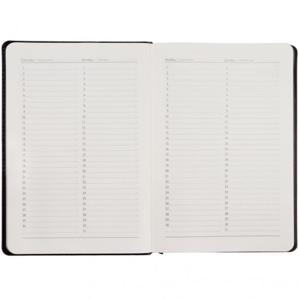 Ежедневник Alanis, недатированный, черный c красным 