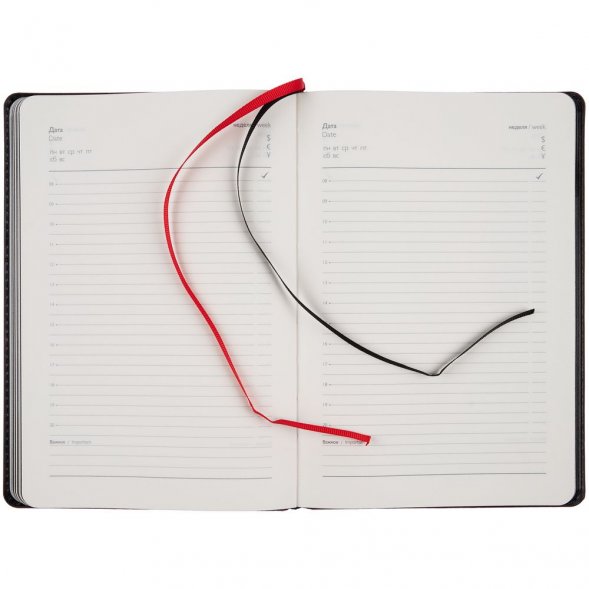 Ежедневник Alanis, недатированный, черный c красным 