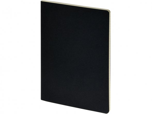 Бизнес тетрадь А5 Pragmatic, 40 листов в клетку, черный 