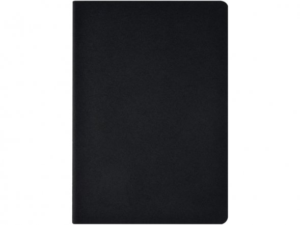 Бизнес тетрадь А5 Pragmatic, 40 листов в клетку, черный 