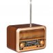 Bluetooth-колонка с радио Beatnik, коричневая 