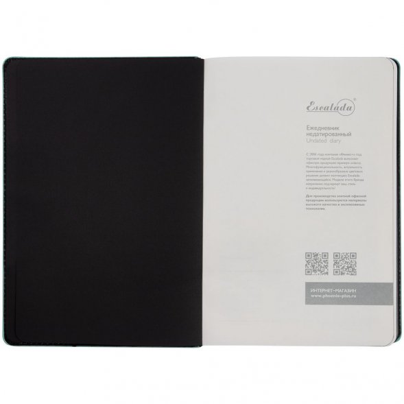 Ежедневник Alanis, недатированный, черный c бирюзовым 