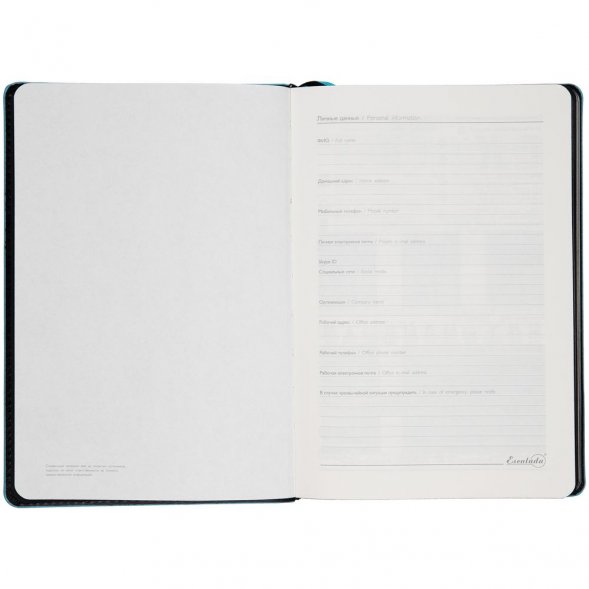 Ежедневник Alanis, недатированный, черный c бирюзовым 