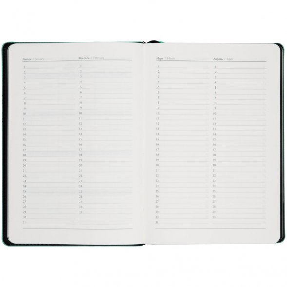 Ежедневник Alanis, недатированный, черный c бирюзовым 