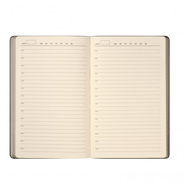 Ежедневник Rain недатированный, черный (без упаковки, без стикера) 