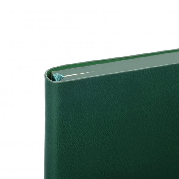 Ежедневник Latte soft touch недатированный, зеленый 