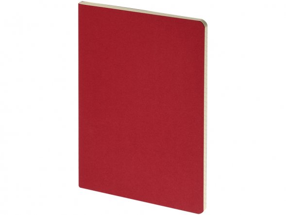 Бизнес тетрадь А5 Pragmatic, 40 листов в клетку, красный 