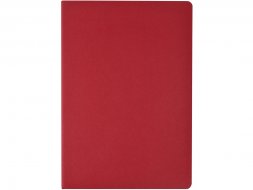 Бизнес тетрадь А5 Pragmatic, 40 листов в клетку, красный