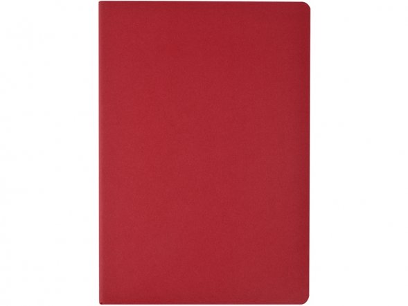 Бизнес тетрадь А5 Pragmatic, 40 листов в клетку, красный 