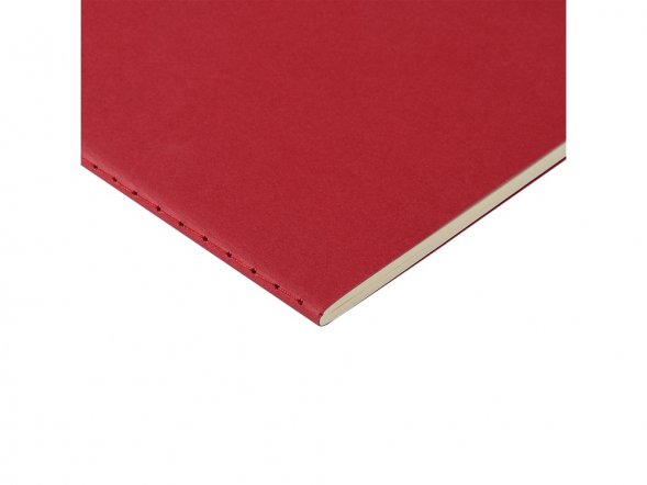 Бизнес тетрадь А5 Pragmatic, 40 листов в клетку, красный 