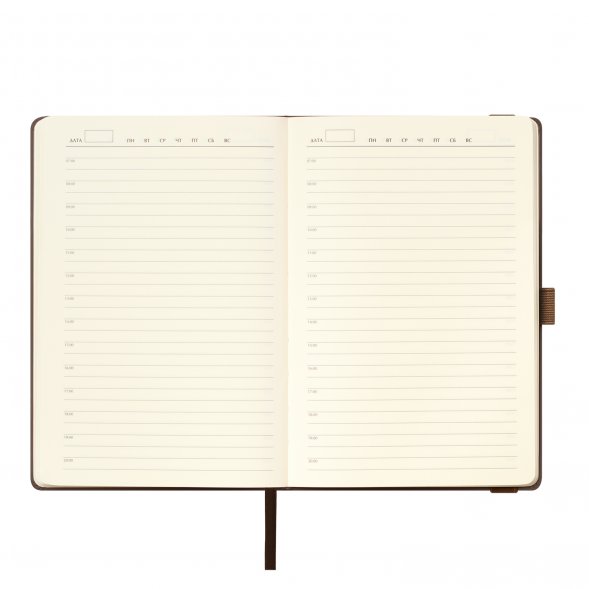 Ежедневник Alpha недатированный, коричневый/бежевый 