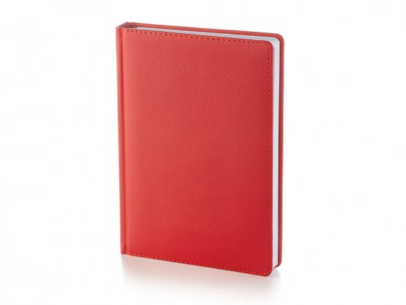 Ежедневник А5 датированный Leader 2025, красный 