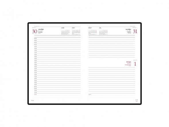 Ежедневник А5 датированный Leader 2025, красный 