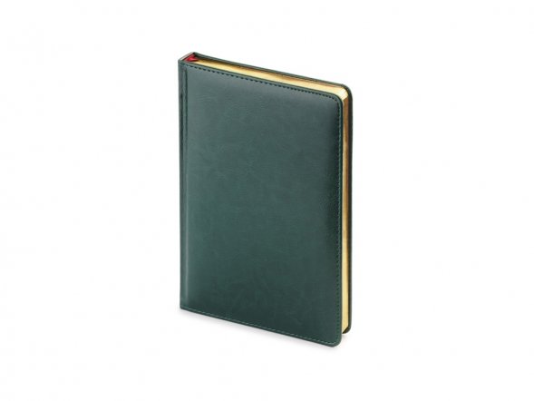 Ежедневник недатированный А5 Sidney Nebraska, зеленый (золотой обрез) 