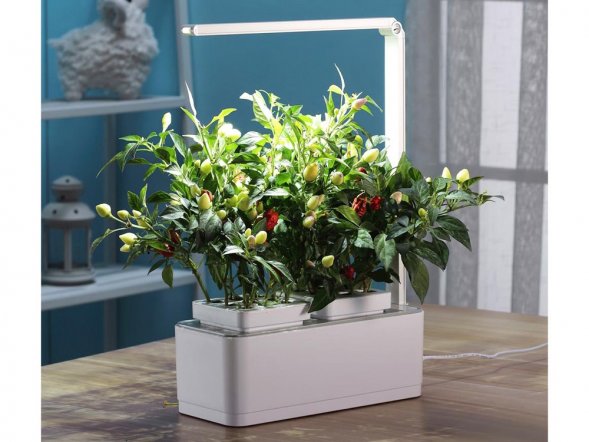 Компактный смарт-сад iGarden LED с подсветкой 