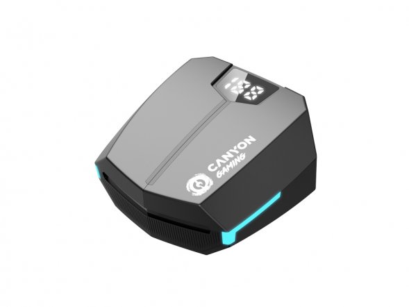 Игровая гарнитура Canyon DoubleBee GTWS-2, черный (CND-GTWS2B) 
