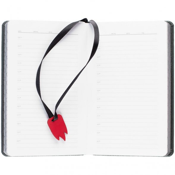 Ежедневник «Дракон», недатированный, темно-зеленый 