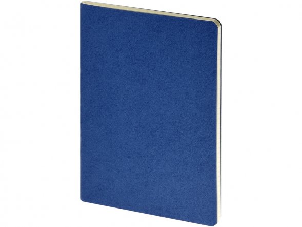 Бизнес тетрадь А5 Pragmatic, 40 листов в клетку, синий 