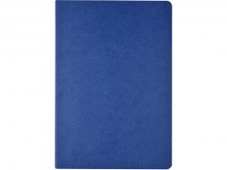 Бизнес тетрадь А5 Pragmatic, 40 листов в клетку, синий