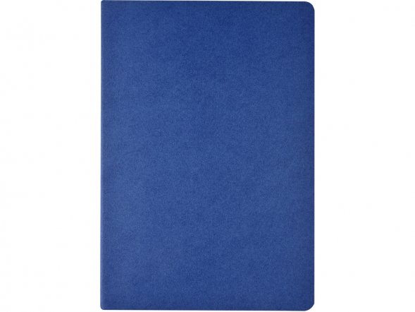 Бизнес тетрадь А5 Pragmatic, 40 листов в клетку, синий 