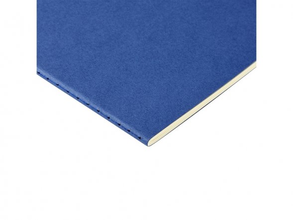 Бизнес тетрадь А5 Pragmatic, 40 листов в клетку, синий 