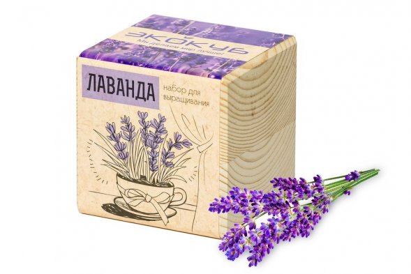 Набор для выращивания «Экокуб», лаванда 