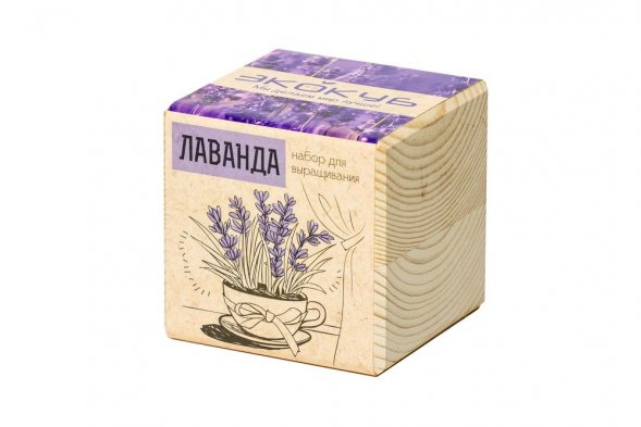 Набор для выращивания «Экокуб», лаванда 