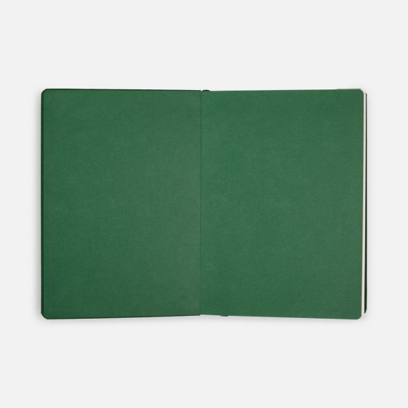 Ежедневник Shall, недатированный, зеленый 