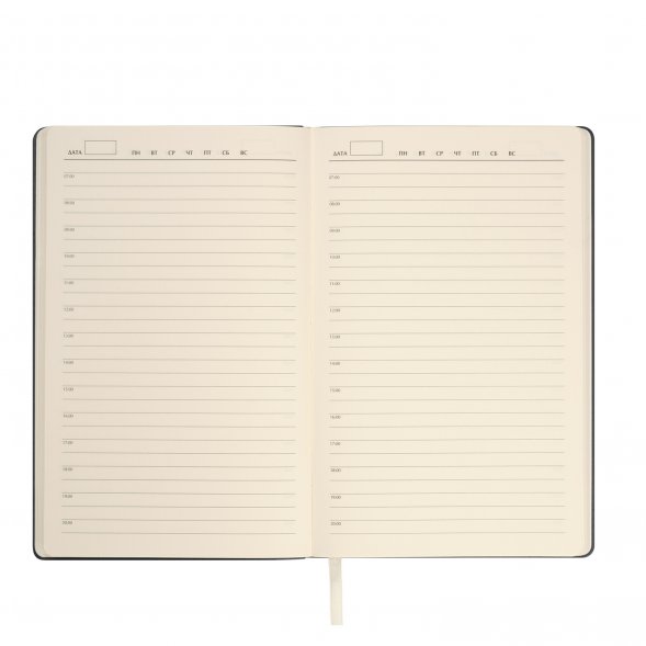 Ежедневник Star недатированный, серый (без упаковки, без стикера) 