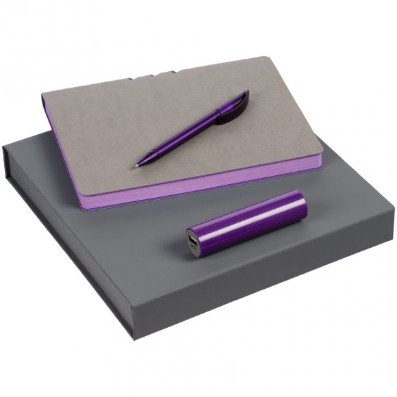 Набор Flexpen Energy, серебристо-фиолетовый 