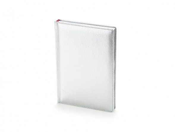 Ежедневник недатированный А5 Sidney Nebraska, серебристый (серебряный обрез) 