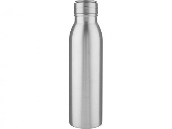 Бутылка для воды Harper из нержавеющей стали, с металлической петлей, 700 мл - Серебристый 