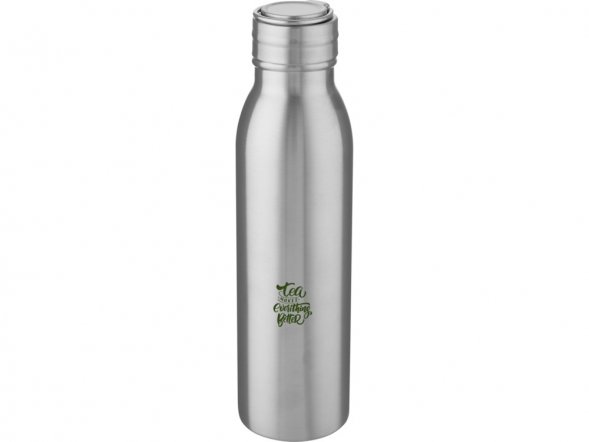 Бутылка для воды Harper из нержавеющей стали, с металлической петлей, 700 мл - Серебристый 