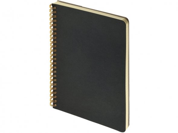 Бизнес тетрадь на гребне А5 Pragmatic, 60 листов в клетку, черный 