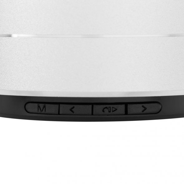 Беспроводная колонка Easy, серебристая 