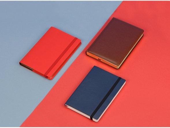 Ежедневник недатированный А5 Parliament, синий 