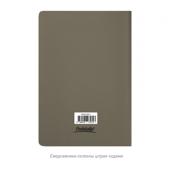 Ежедневник Spark недатированный, серый (без упаковки, без стикера) 