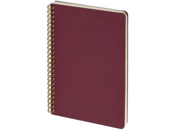 Бизнес тетрадь на гребне А5 Pragmatic, 60 листов в клетку, бордовый 