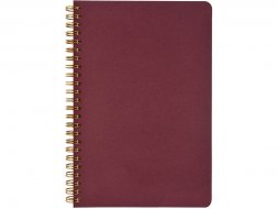 Бизнес тетрадь на гребне А5 Pragmatic, 60 листов в клетку, бордовый